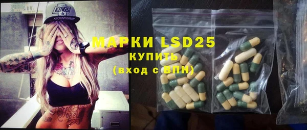 ПСИЛОЦИБИНОВЫЕ ГРИБЫ Аркадак