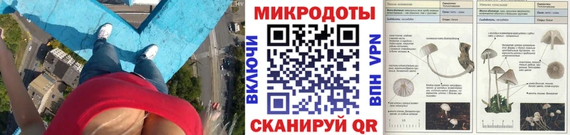Галлюциногенные грибы ЛСД Нововоронеж