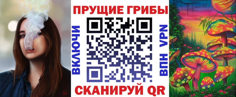 Псилоцибиновые грибы мицелий  закладки  Нововоронеж 